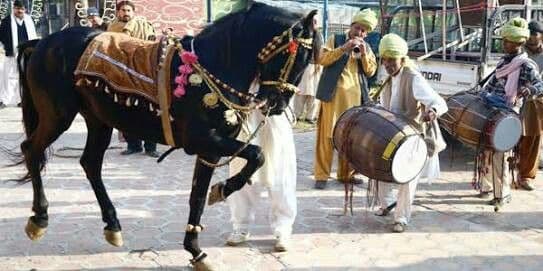 Musicians playing traditional Punjabi instruments.